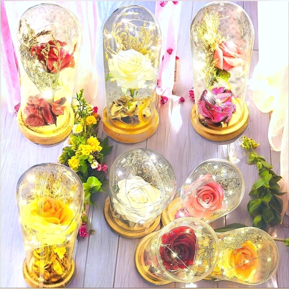 Silk Rose real preserved rose petals with Led Light String batteries Inc…